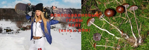 герыч Корсаков