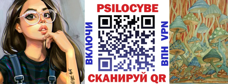 Галлюциногенные грибы Magic Shrooms  Купить  Димитровград